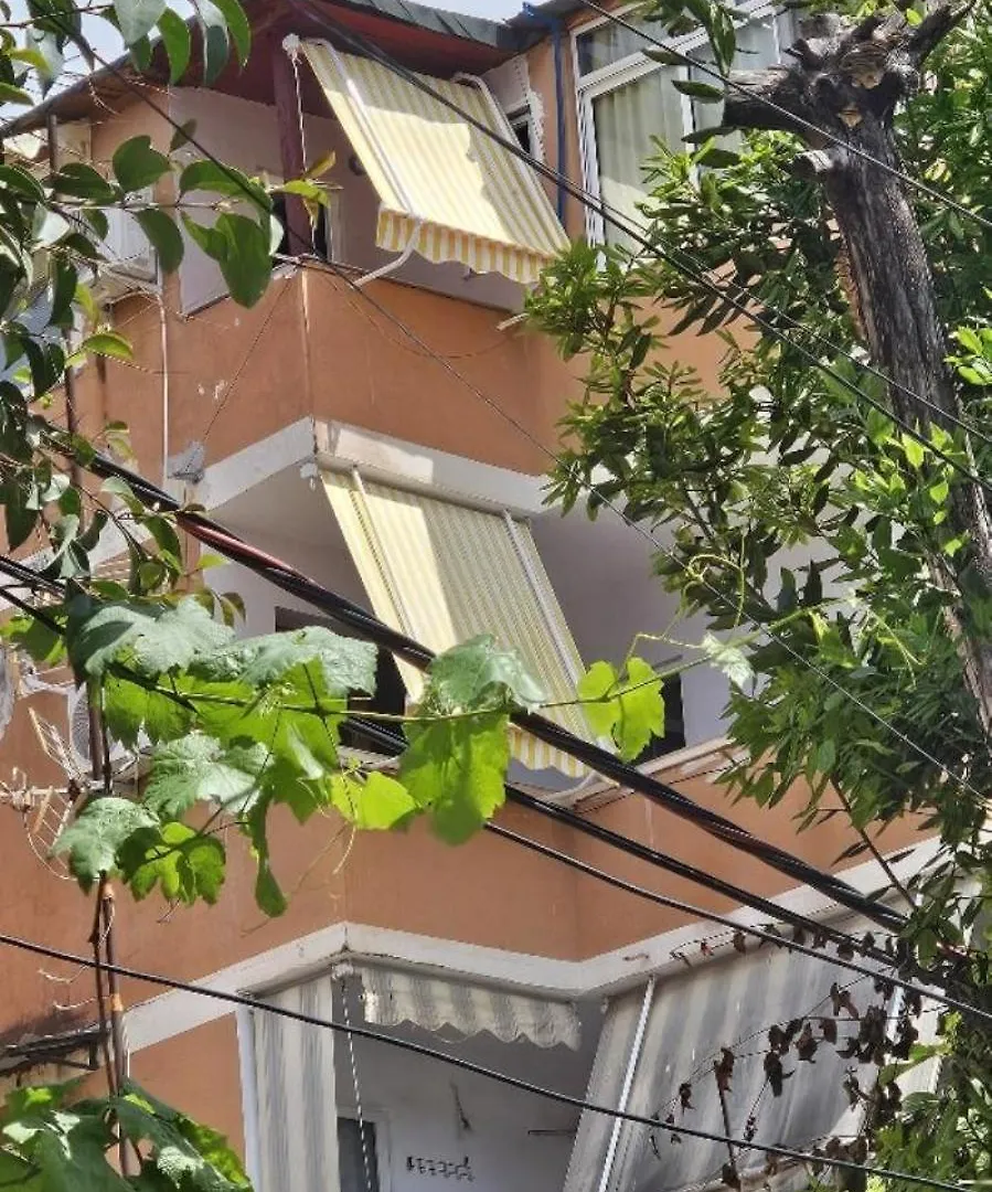 아파트 Nuci'S Place 티라나 알바니아