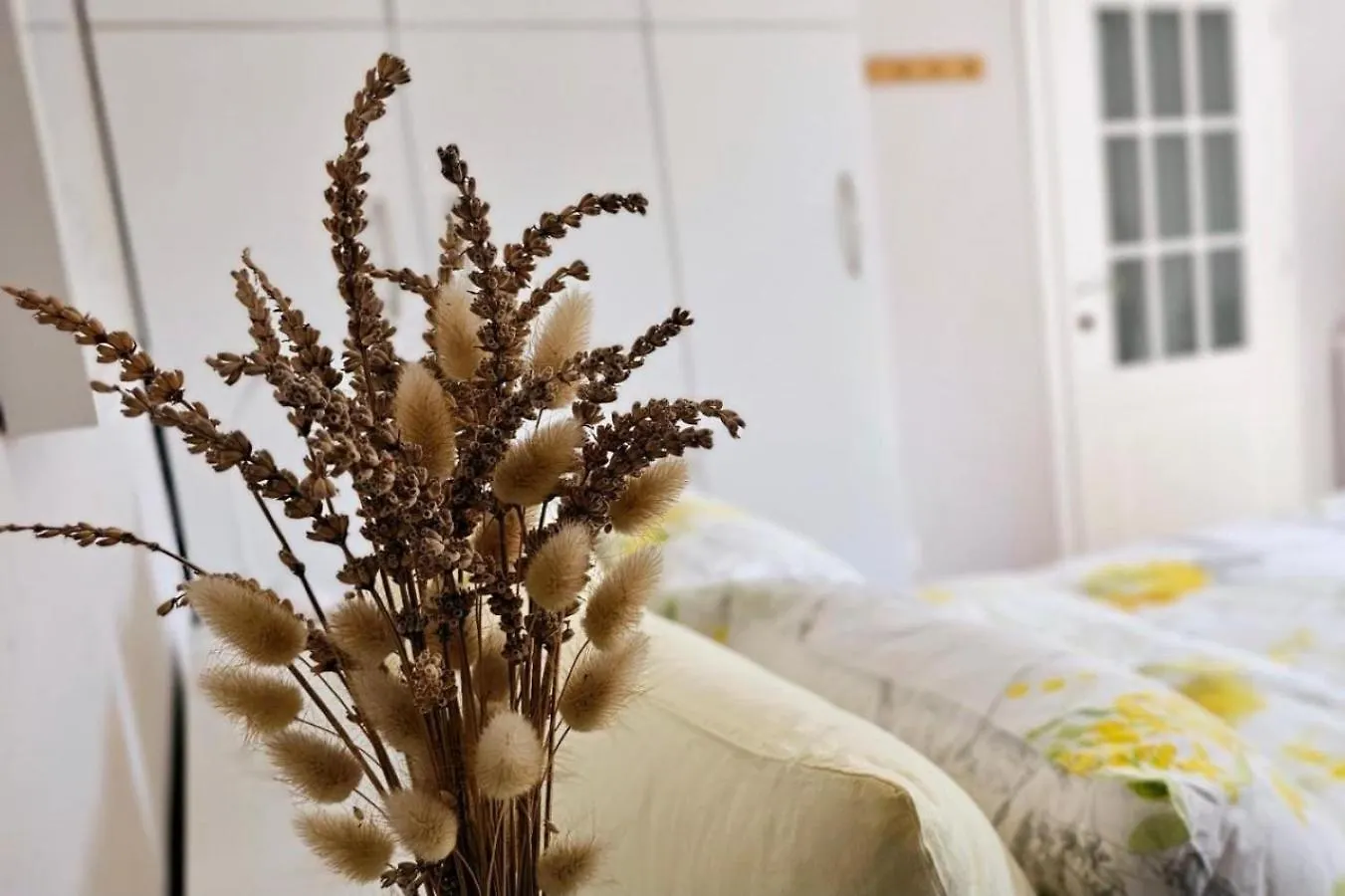 Nuci'S Place 티라나 아파트